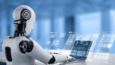 The Future of Humanoid Robots